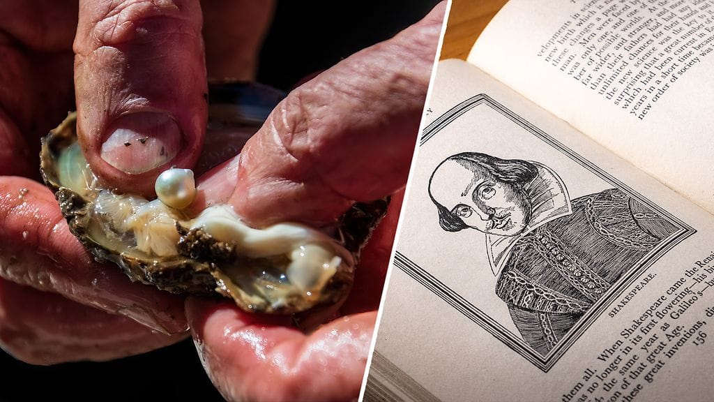 William Shakespeare käytti kuuluisaa sanontaa eräässä näytelmässään.