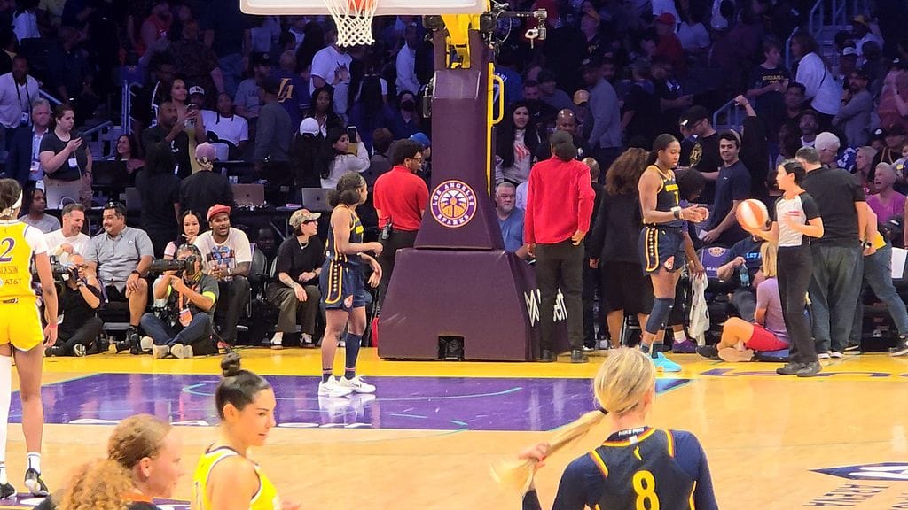 WNBA-otteluita ovat häirinneet kentälle heitetyt dildot.