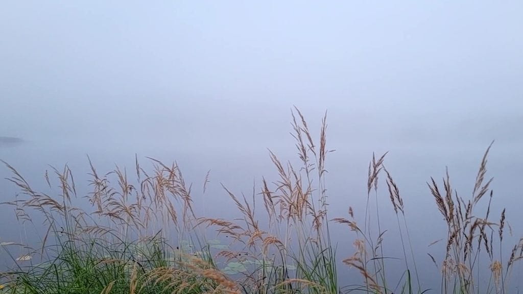 Aamusumu lukijan kuva