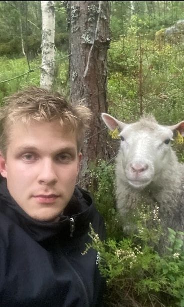 Alpi ja Markku