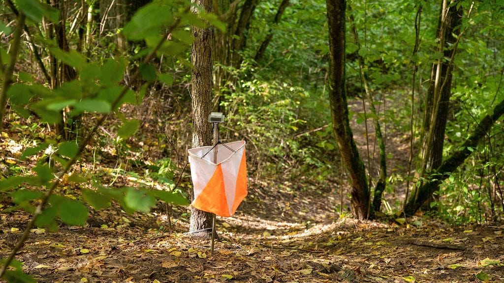 Vanhempien ikäluokkien MM-suunnistukset käytiin viime viikolla. Kuvituskuva.