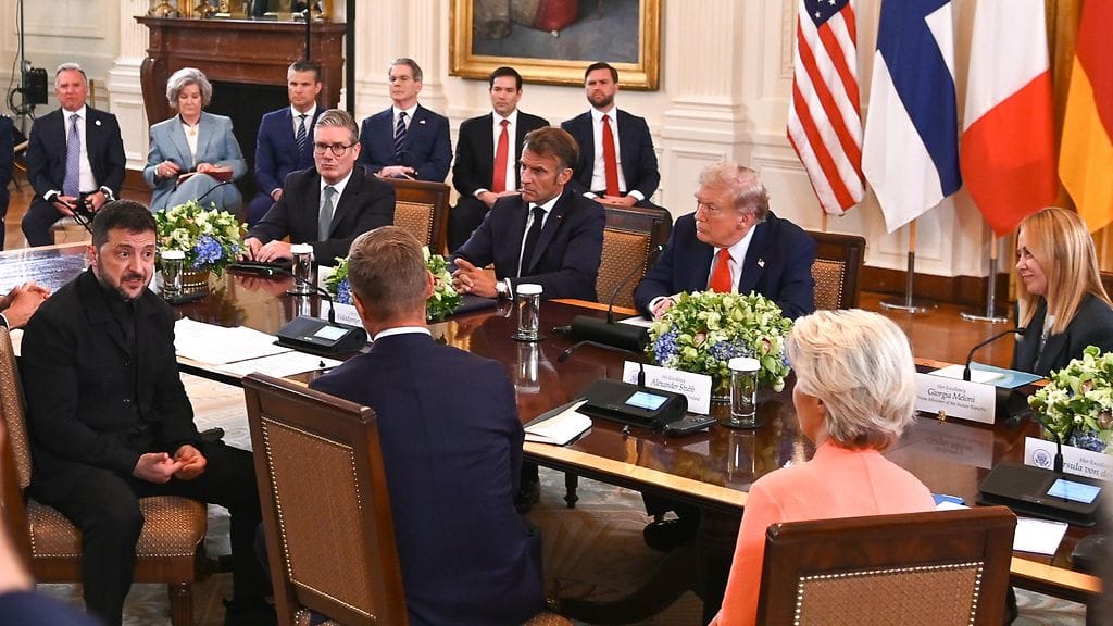 ALEXANDER STUBB TPK (1)