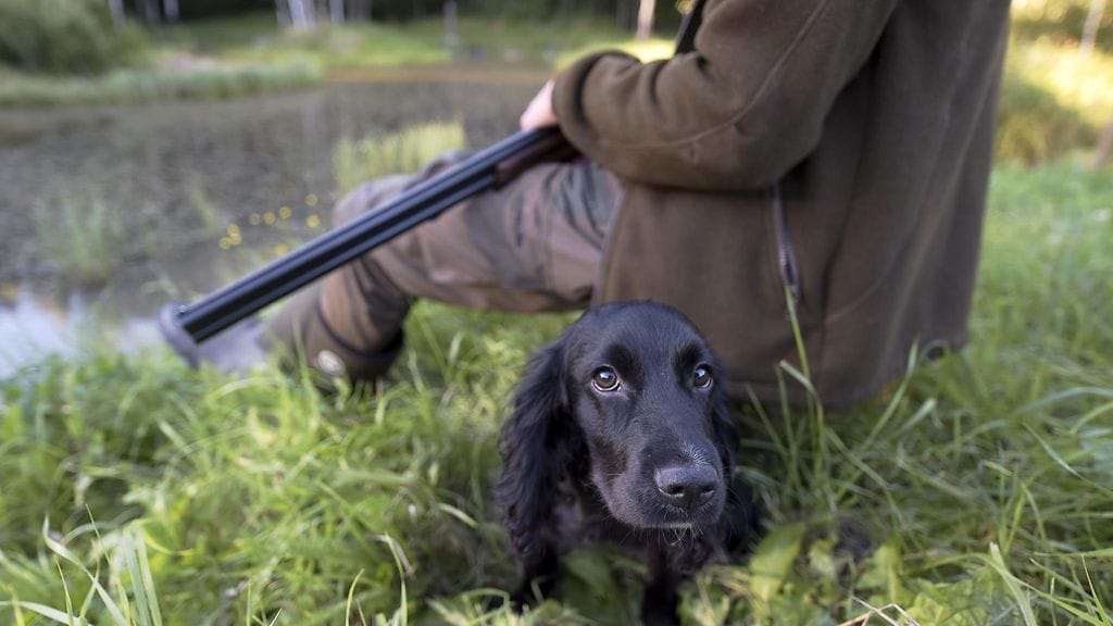 Kausi jatkuu vuoden loppuun asti.