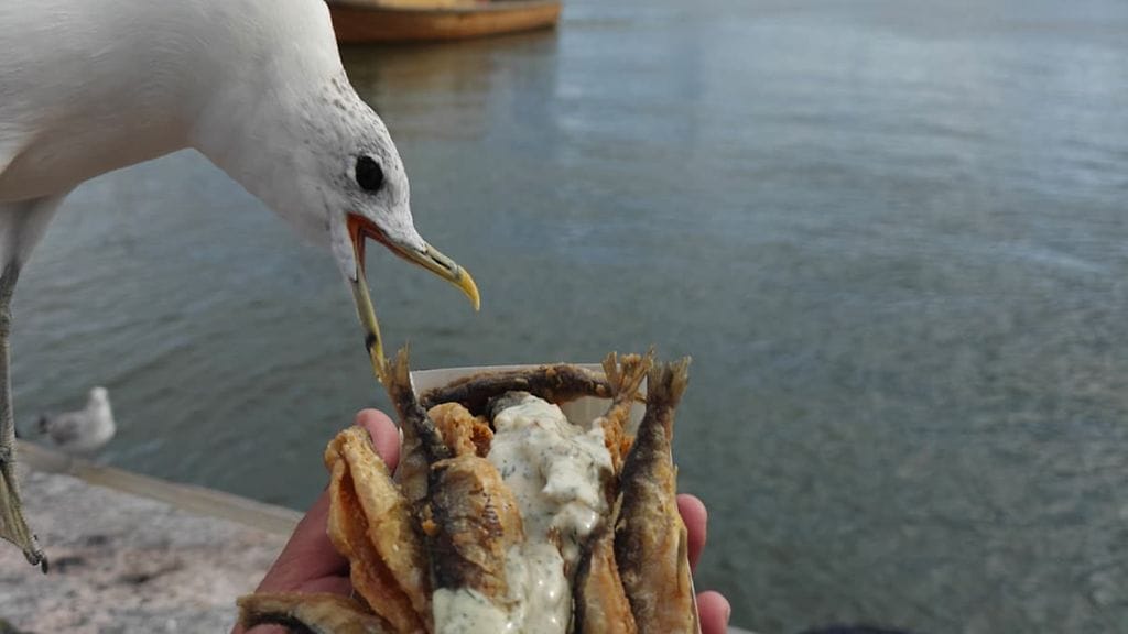 Istiaq Ahsan joutui taistelemaan ruoastaan Helsingin Kauppatorilla.