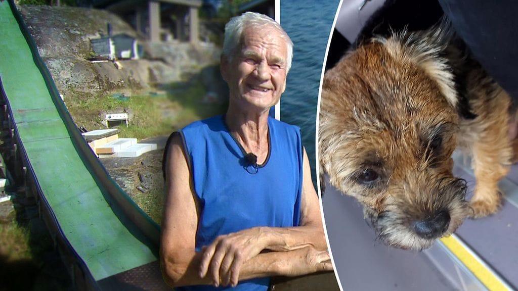 Oivan mökillä on huikea liukumäki. Pikkukoira matkasi bussilla hotelliin ja pääsi lopulta takaisin kotiin.