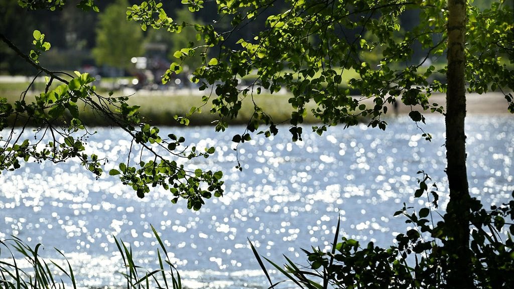 Bodominjärven vesi kimmeltelee auringosta Espoossa 18. elokuuta.