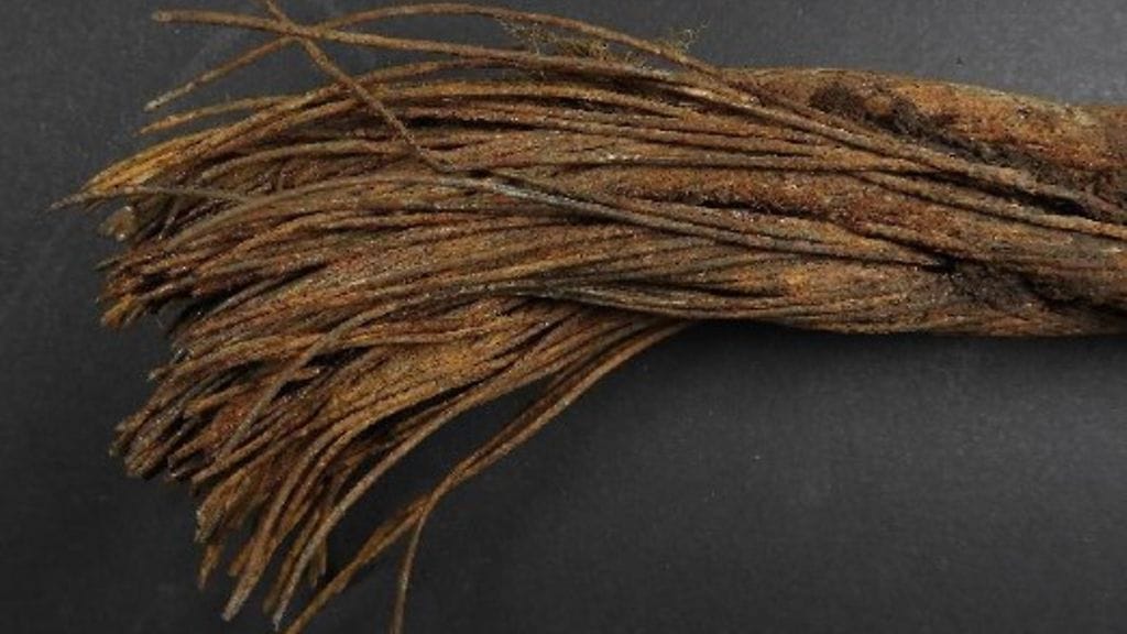 Eagle S ankkurivaijeri