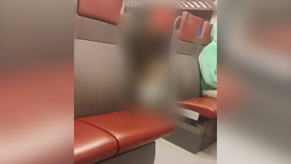 MTV Uutisten silminnäkijä kertoo matkustajien joutuneen todistamaan estotonta seksiä lähijunassa.