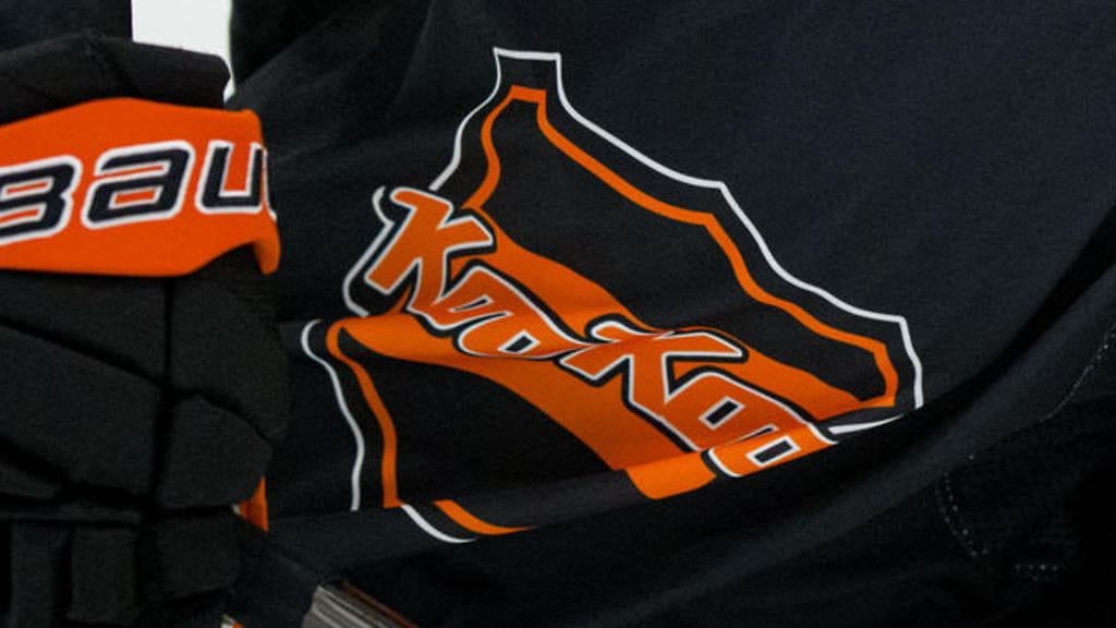 KooKoon logo kuvituskuvassa.
