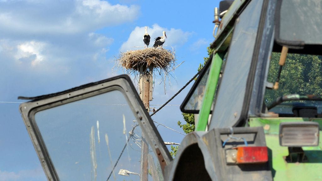 Kuvituskuva. Tarkistuksissa löytyi toista tuhatta väärin perustein tukea nostanutta.