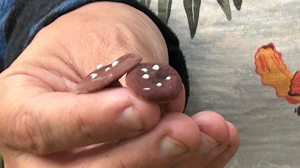 Sienet, sikurirousku