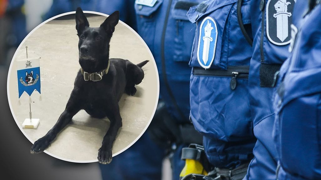 Rikin kohdalla sosiaalinen media osoitti jälleen voimansa.