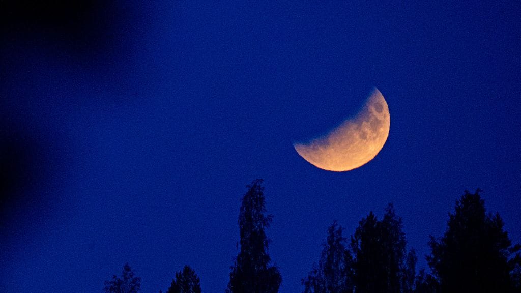 Kuunpimennys 2019 AOP 1.04090272