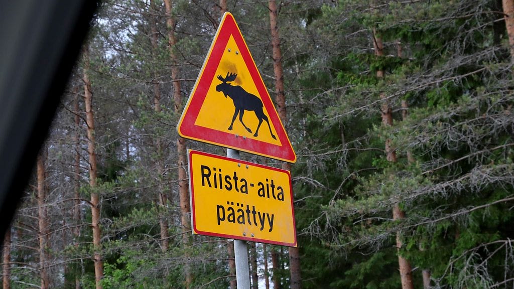 Liikennemerkkejä ei ole laitettu teille turhan takia, muistuttaa poliisi. Kuvituskuva.