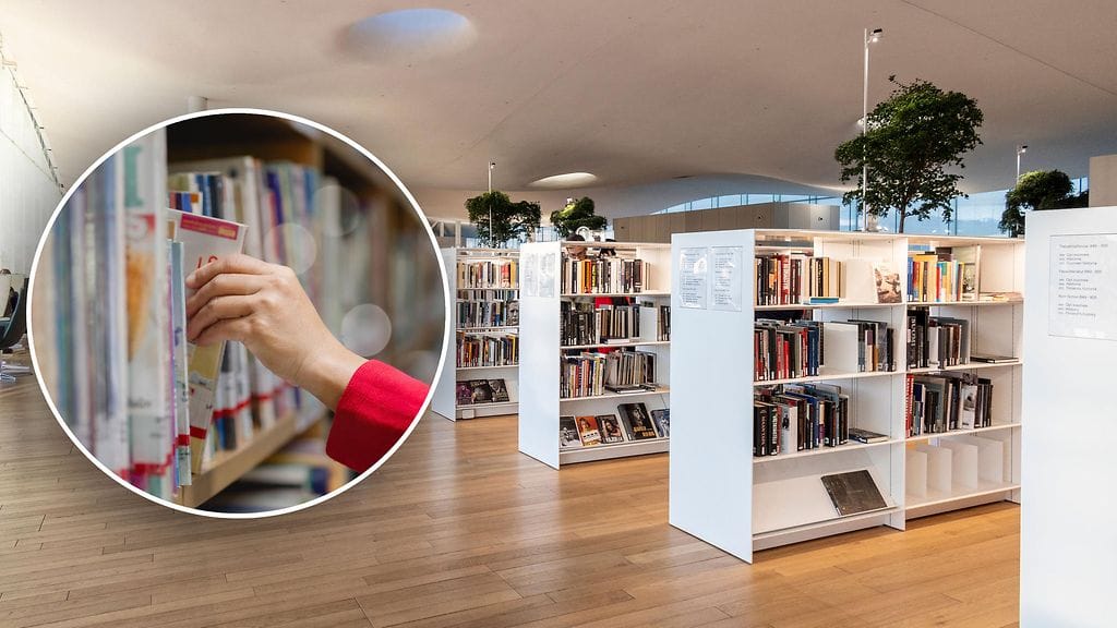 Kirjastojen sivuilla voi laskea "lainaussäästönsä".