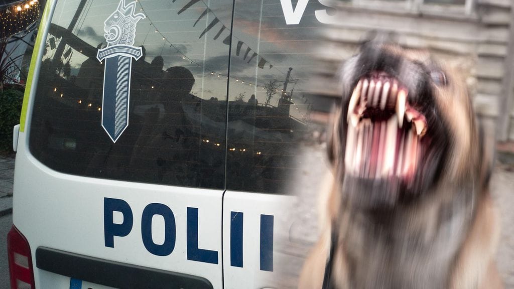 Koira aiheutti kahdelle ihmiselle vakavat ja kolmannelle uhrille lievemmät vammat.