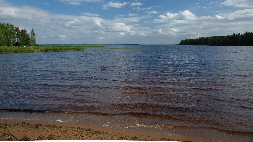 Kuva Lappajärven rannasta.
