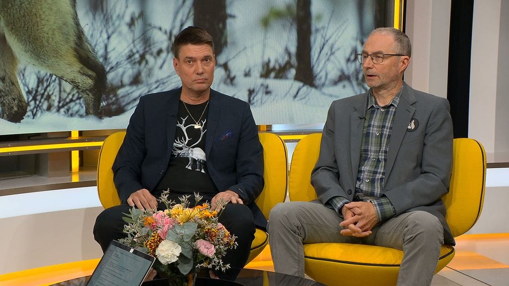 HUOMENTA SUOMI ARKI CLEAN (7).000000