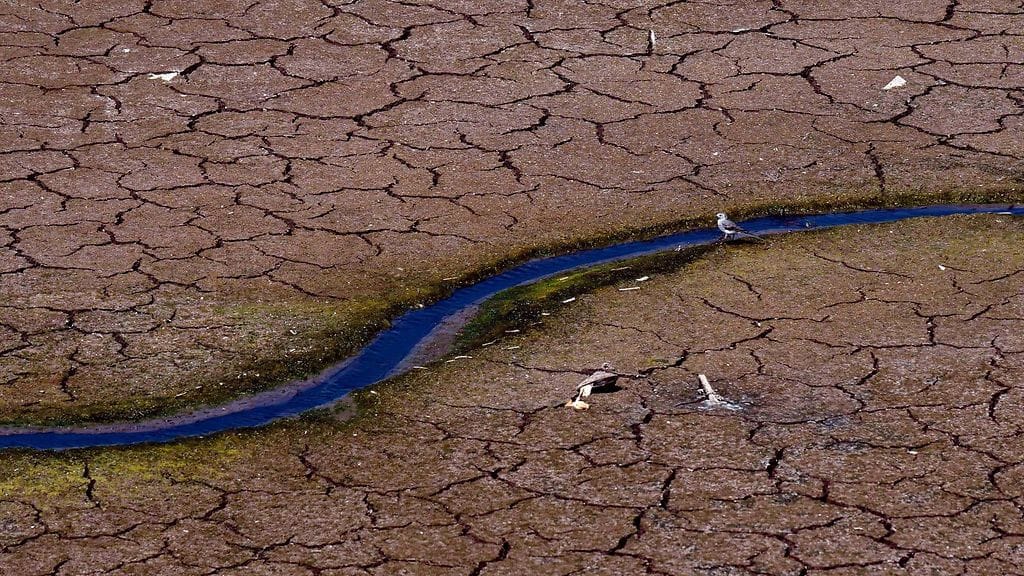 Kuivunut joki kuvattuna Kosovossa elokuussa