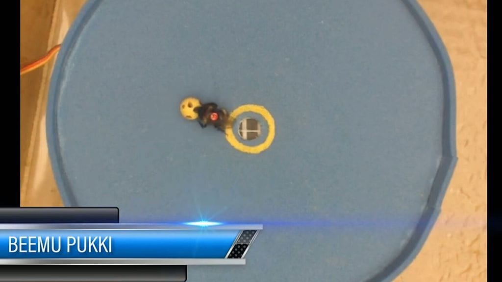 1809 OLLI LOUKOLA KIMALAINEN BEEMU PUKKI