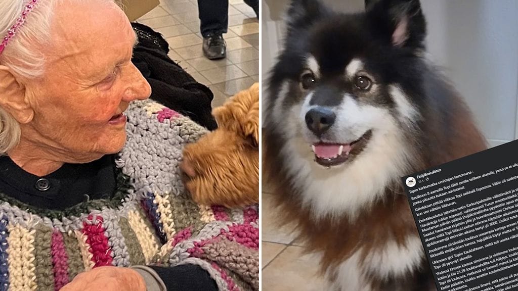 Helga täytti sata vuotta. Topi-koira pääsi karkumatkan jälkeen takaisin kotiin.