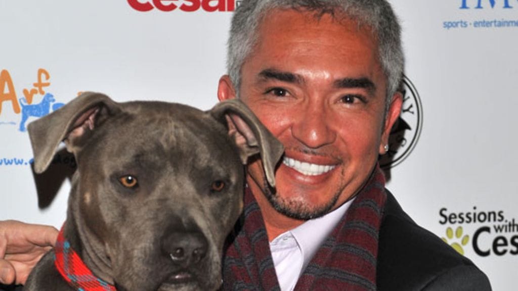 Miia Kantinkoski ei luota Koirakuiskaajan koulutusmetodeihin.