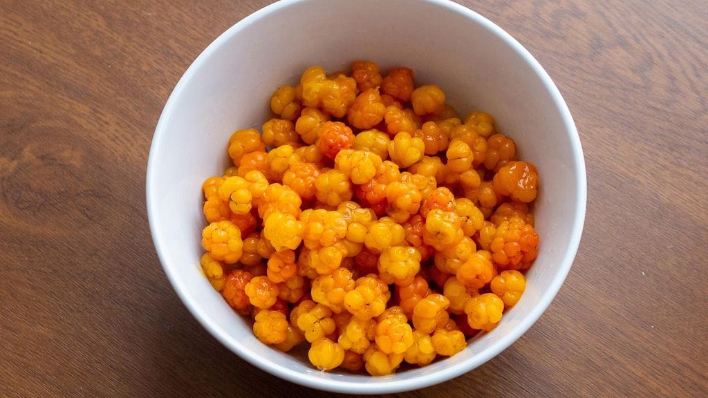 Lakkaa hyödynnetään jo esimerkiksi kosmetiikassa, mutta nanovesikkelien tunnistaminen antaa marjalle uudenlaista arvoa tulevaisuuden superruokana ja mahdollisena lääkinnällisenä raaka-aineena.