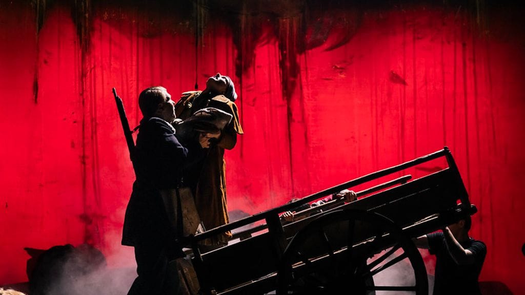 54797562084_7802aa933d_c