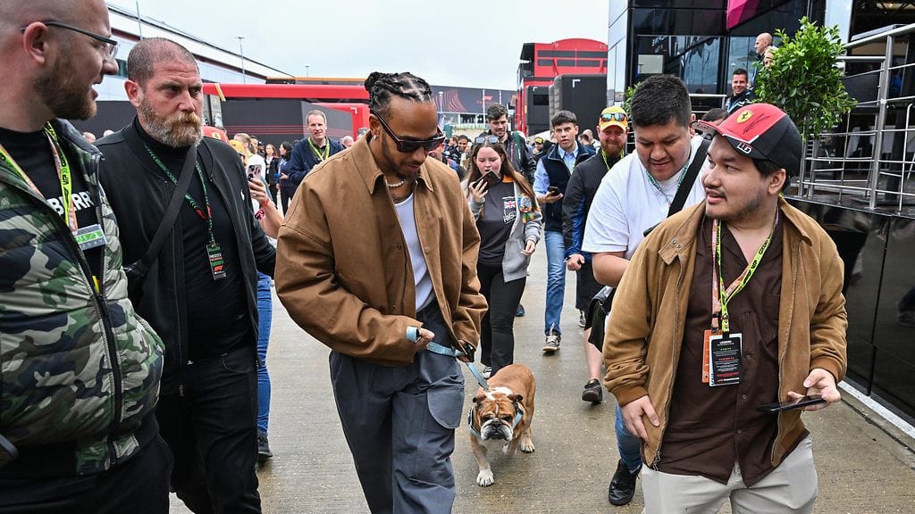 Lewis Hamilton ja Roscoe kuvattuna Silverstonessa heinäkuussa 2024.