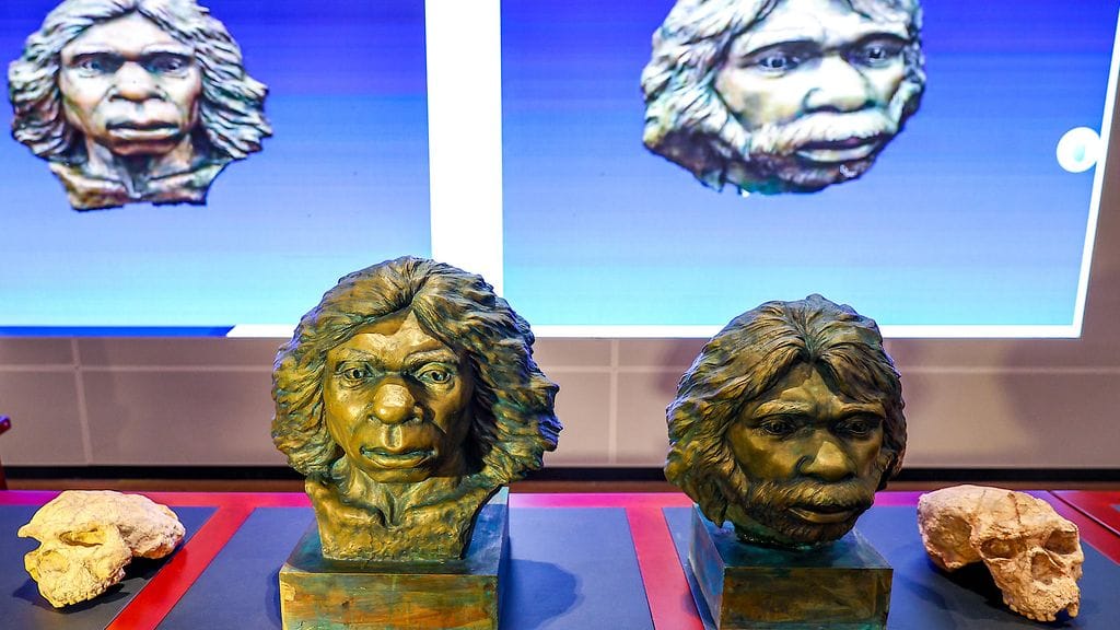 Kiinassa Hubein maakunnassa esiteltiin viime vuonna kahta "Yunxianin ihmiselle" kuuluneita miljoona vuotta vanhoja kalloja. Tutkijat olivat tehneet mallinnoksen yksilöistä kallojen perusteella.