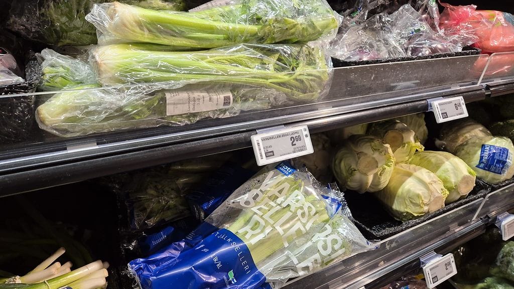 Varsiselleri on ollut tänä vuonna erityisen satoisa. Nyt sato uhkaa mädäntyä viljelijöiden käsiin.