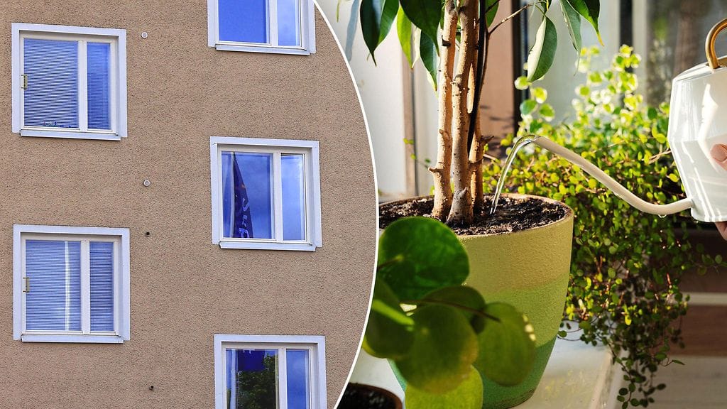Ikkunat kannattaa laittaa kiinni ja huonekasvit kastella ennen kuin suuntaa juhannuksen viettoon tai lomalle pois kotoa.