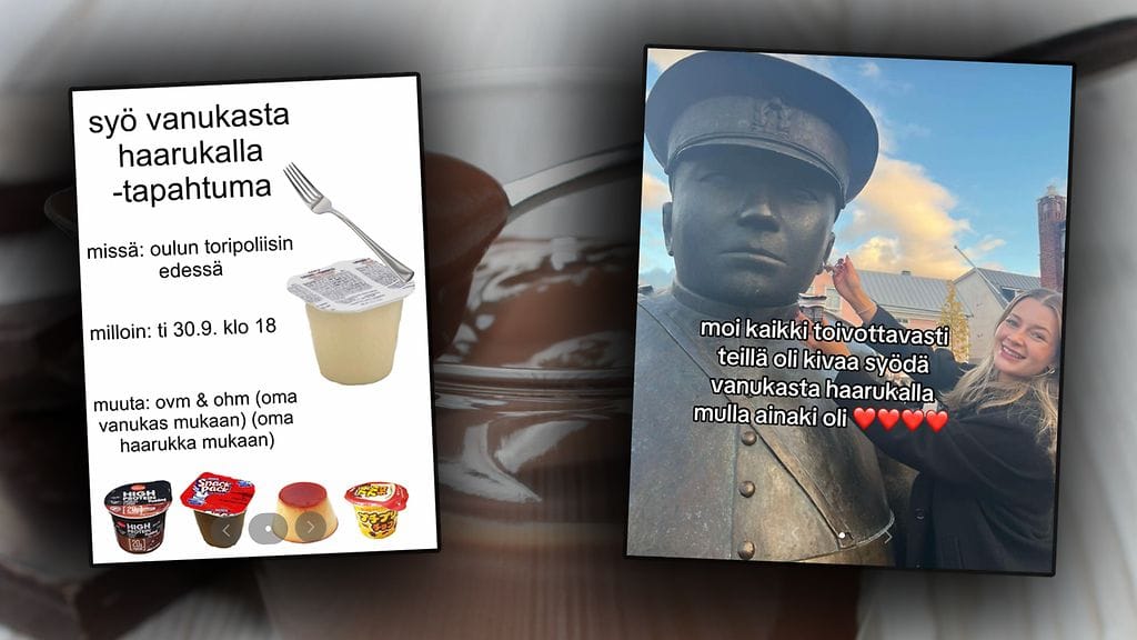 vanukas suklaa jälkiruoka_data copy