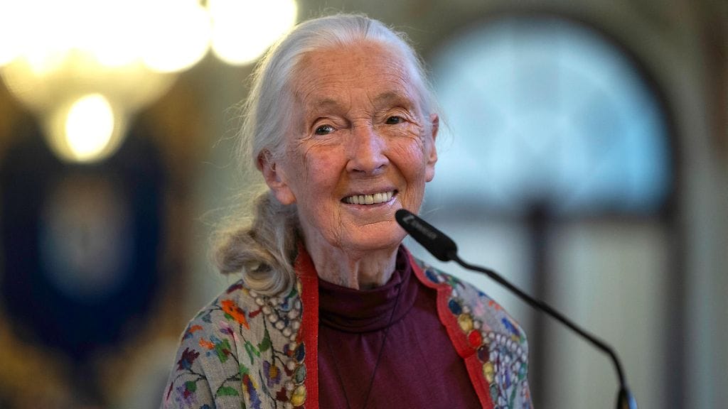 Brittiläinen etologi ja ympäristöaktivisti tohtori Jane Goodall poseeraa ennen "Hope in Action" -konferenssia Malagassa, Espanjassa 02. toukokuuta 2025.