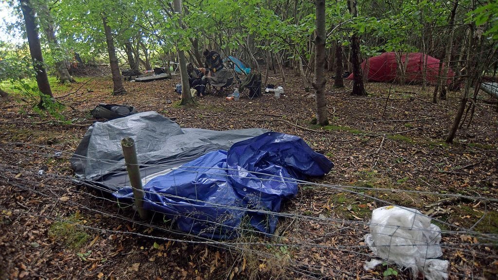 AOP Kingdom of Kubala