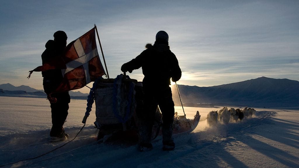 Tanskan kuninkaallisen laivaston koiravaljakko Koillis-Grönlannissa vuonna 2008.