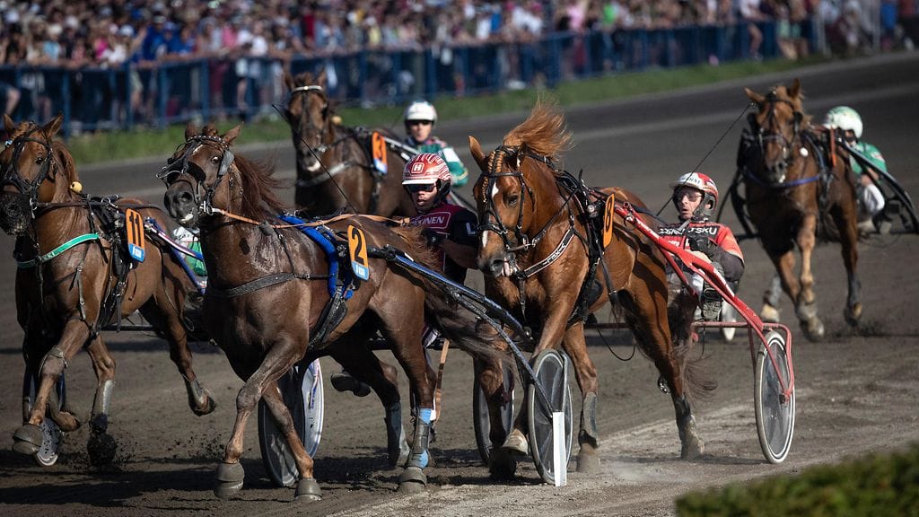 Suuri osa raviurheilun parissa viihtyvistä on keski-iän ylittäneitä, ja moni entinen ammattilainen on siirtynyt katsomon puolelle.