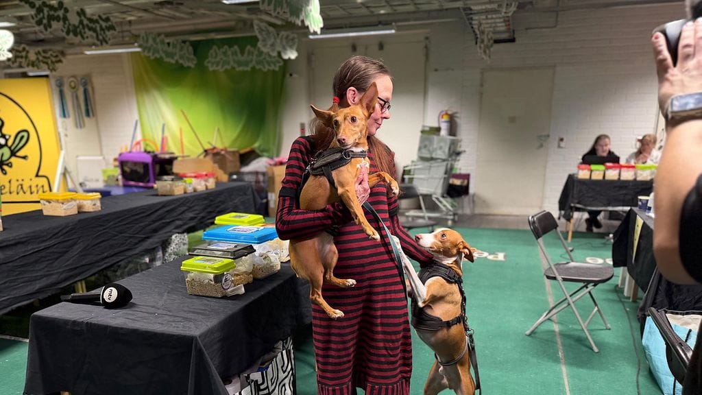 1110, hiirinäyttely 4