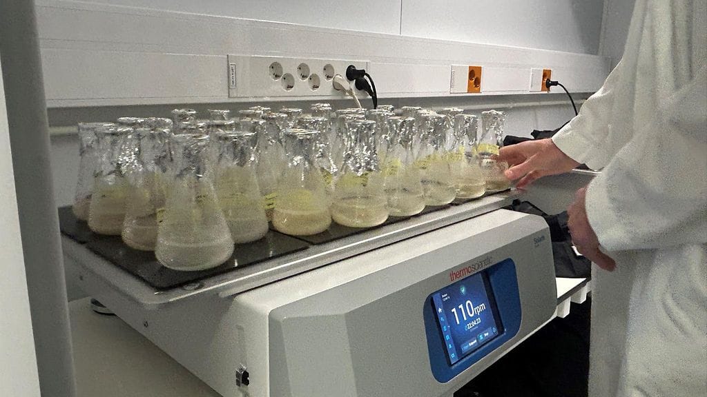 VTT, kosmetiikka, kasviliuoksia