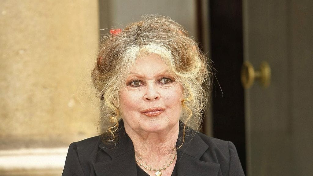 Brigitte Bardot on käynyt läpi vakavan sairauden vuoksi tehdyn leikkauksen. Kuva on otettu vuonna 2006.