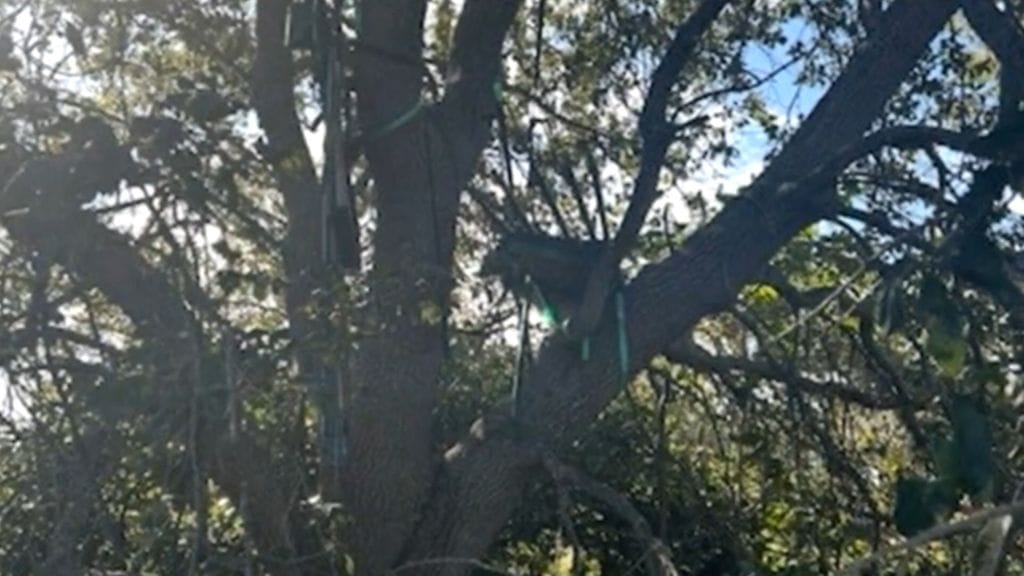 Trumpin käyttämän lentokentän lähistöltä löytyi epäilyttävä rakennelma