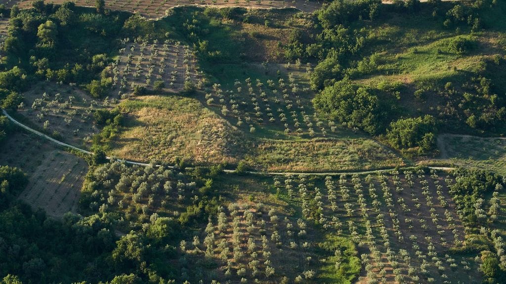 Oliivitarhoja ja viljelysmaita Manner-Kreikassa.