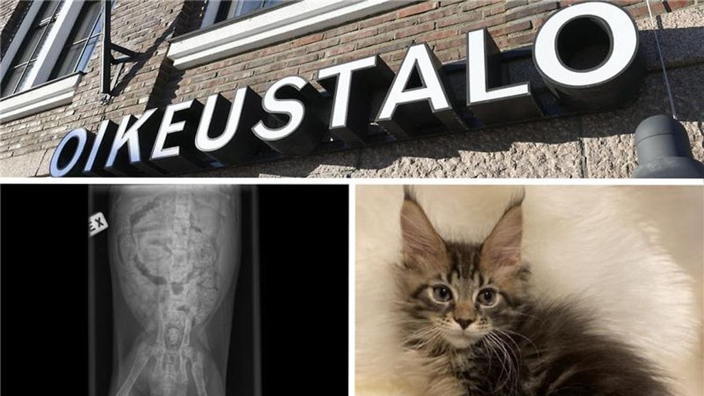 Käräjäoikeuden mukaan kyse on ollut törkeästä huolimattomuudesta.