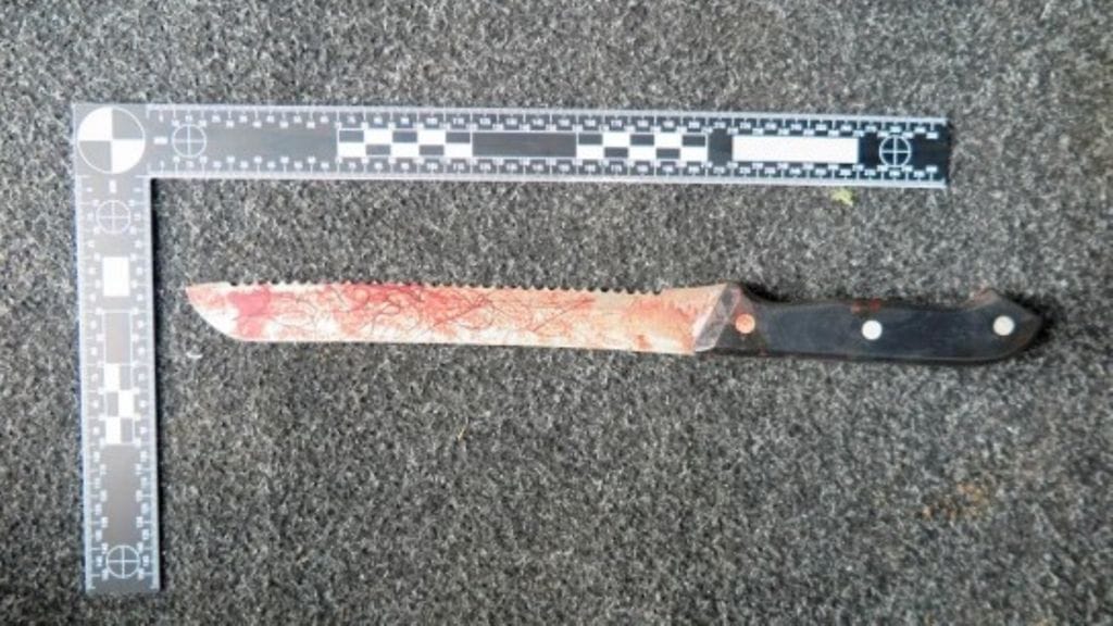 mikkeli murha veitsi