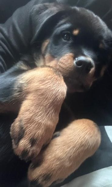 IMG_20251028_115542_306