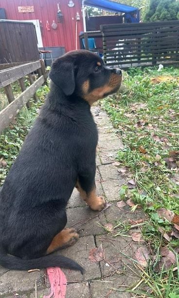 IMG_20251028_115502_939