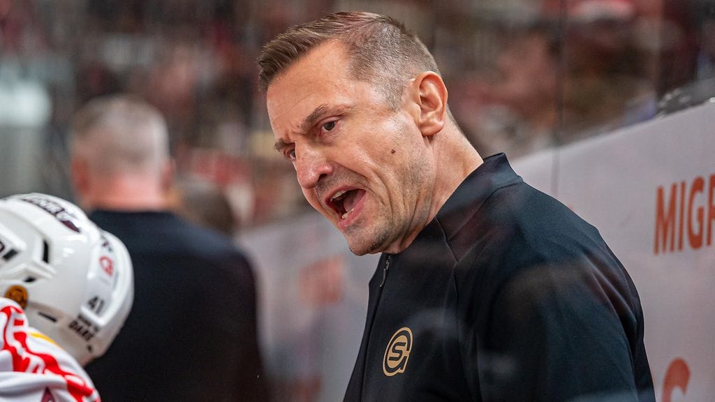 Ville Peltonen nousi hiljattain Geneve-Servetten päävalmentajaksi Yorick Treillen potkujen myötä.