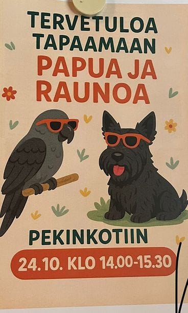 Papu-papukaija ja skotti Rauno ovat odotettuja vieraita muun muassa Pekinkodissa Helsingsissä, jossa niiden vierailusta tehtiin jopa mainosjuliste.