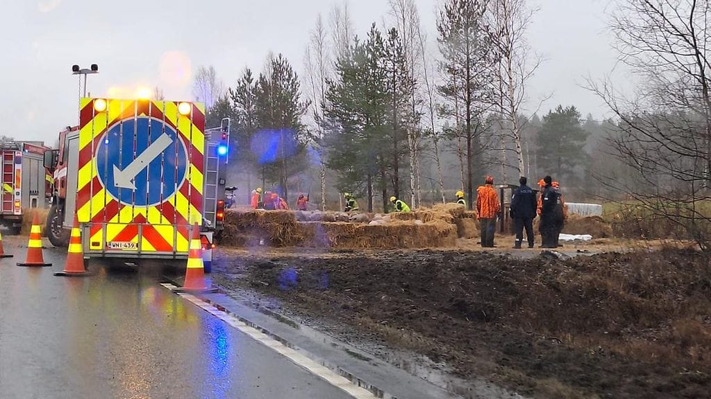 Sikoja kuljettanut rekka suistui tieltä.