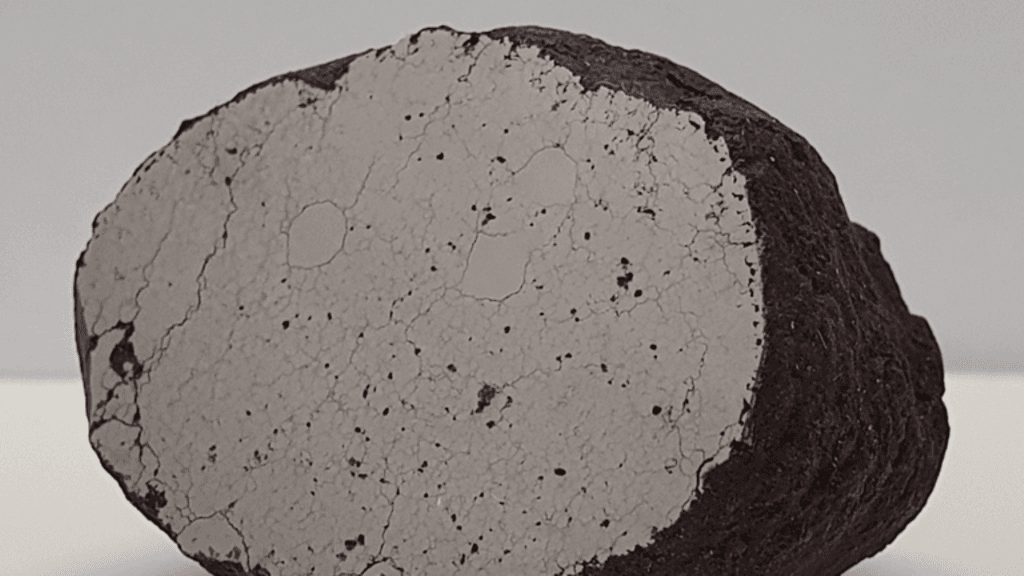 Löpönvaara-meteoriitti on kooltaan pienehkö. Leikattu pinta näyttää meteoriitin sisärakenteen.